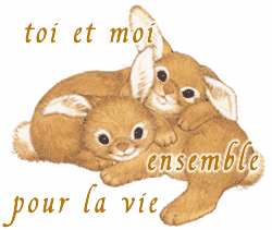 c'est se que on cest promi